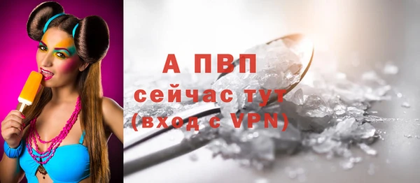 ГАЛЛЮЦИНОГЕННЫЕ ГРИБЫ Новодвинск